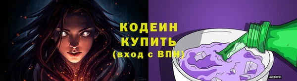 дмт Новодвинск