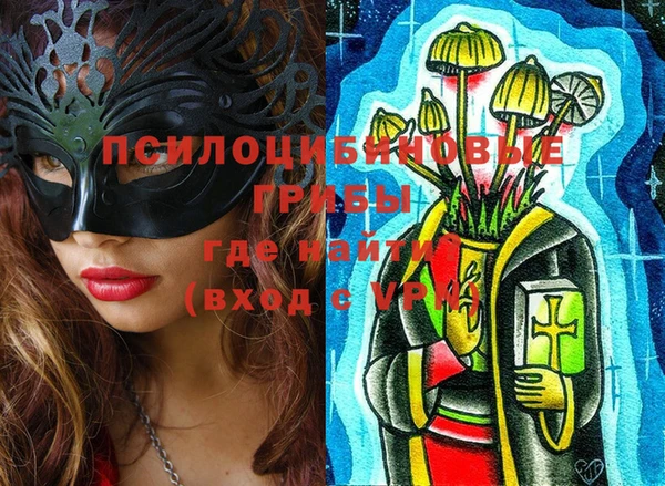 дмт Новодвинск