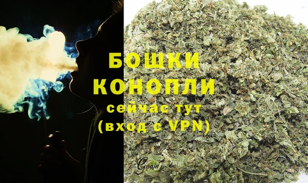 дмт Новодвинск
