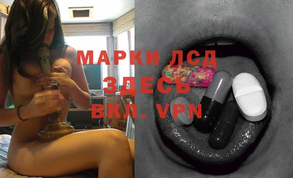 дмт Новодвинск