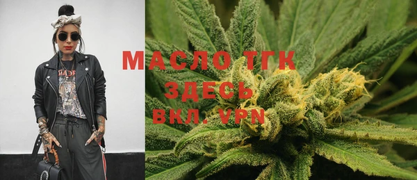 дмт Новодвинск