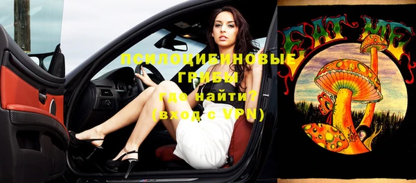 дмт Новодвинск