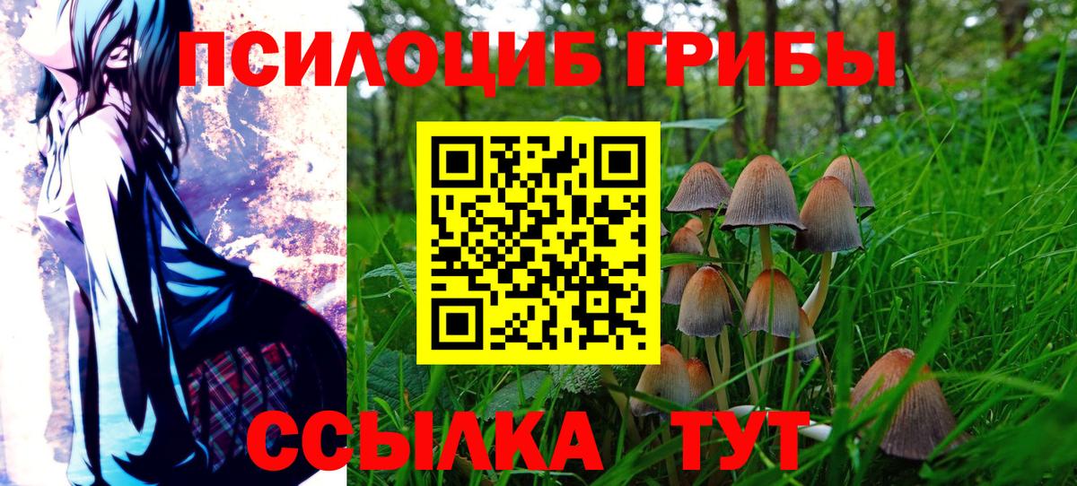 Галлюциногенные грибы мицелий  Галлюциногенные грибы Cubensis  Вход с VPN  Янаул 
